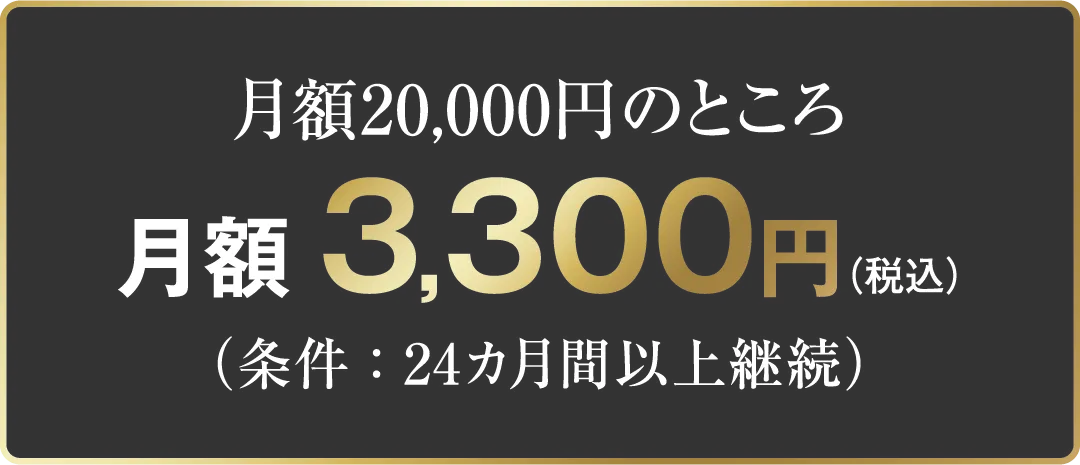 月額20,000円のところ 月額3,300円（税込）（条件：24カ月間以上継続）