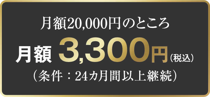 月額20,000円のところ 月額3,300円（税込）（条件：24カ月間以上継続）