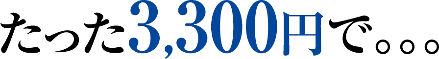 たった3,300円で。。。