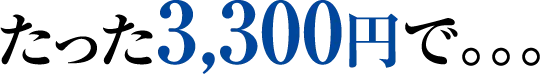たった3,300円で。。。